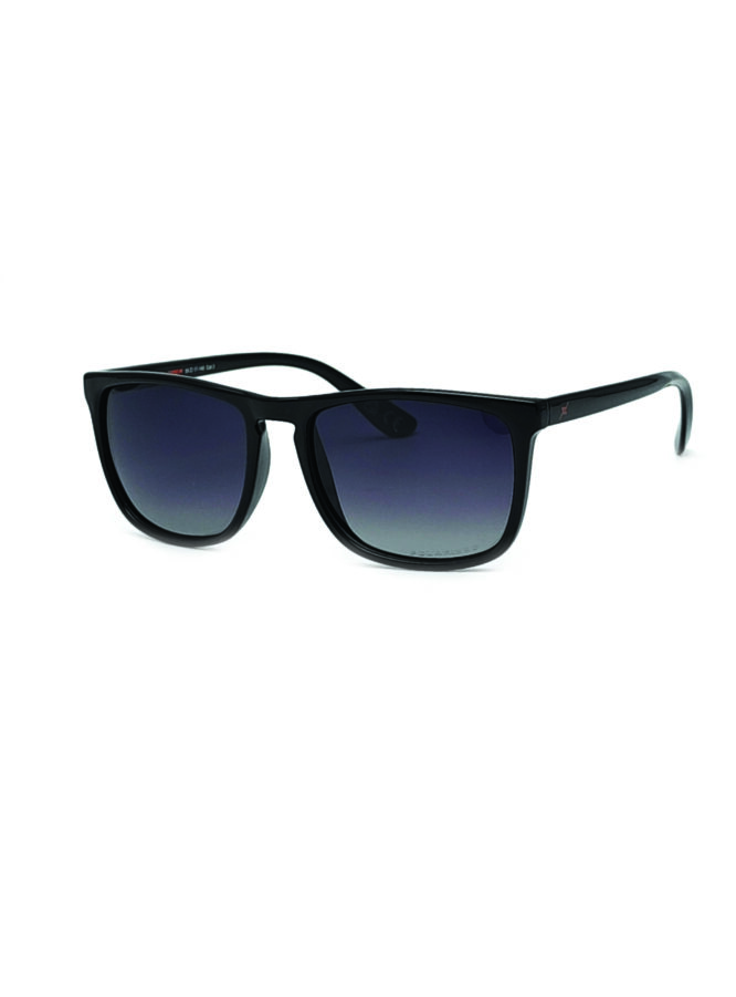 Gradient Grey polarized