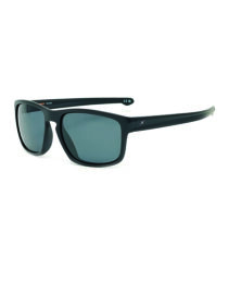 Grey Polarized